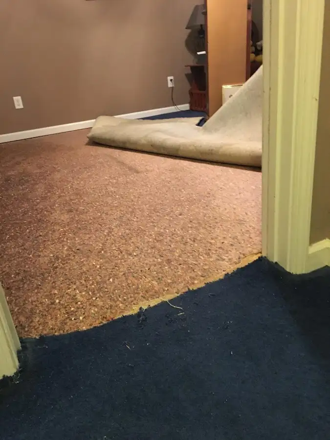 Carpet pad removal revealing water damage during Water Mitigation Services in Taylor Mill