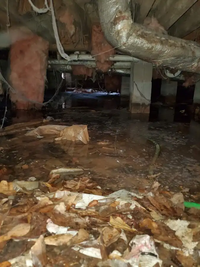 Crawl space flood assessment for Commercial Water Damage Restoration in Taylor Mill