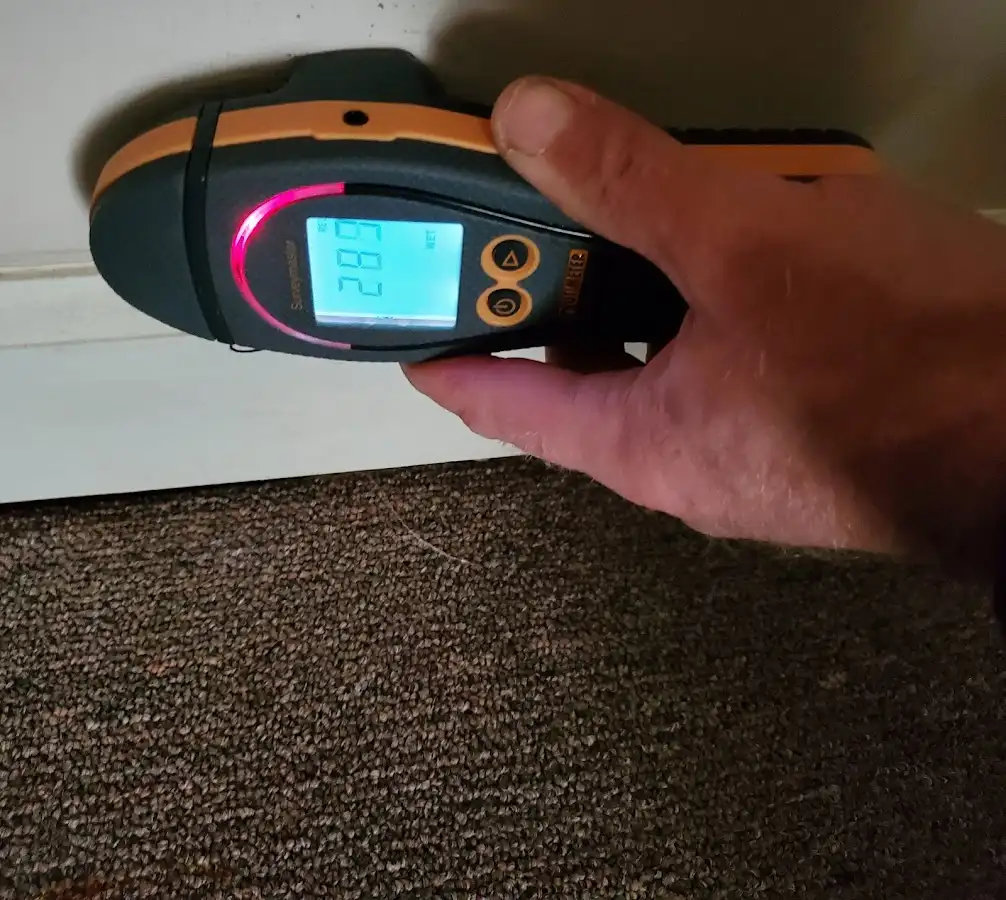 Moisture detection at baseboard during Sewage Cleanup & Sanitation in Taylor Mill